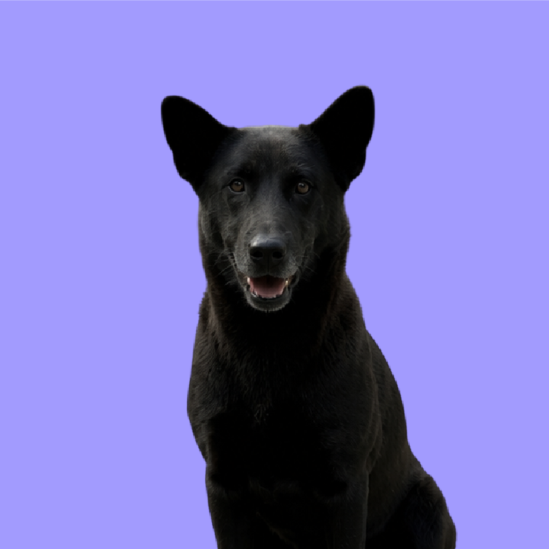Blacky