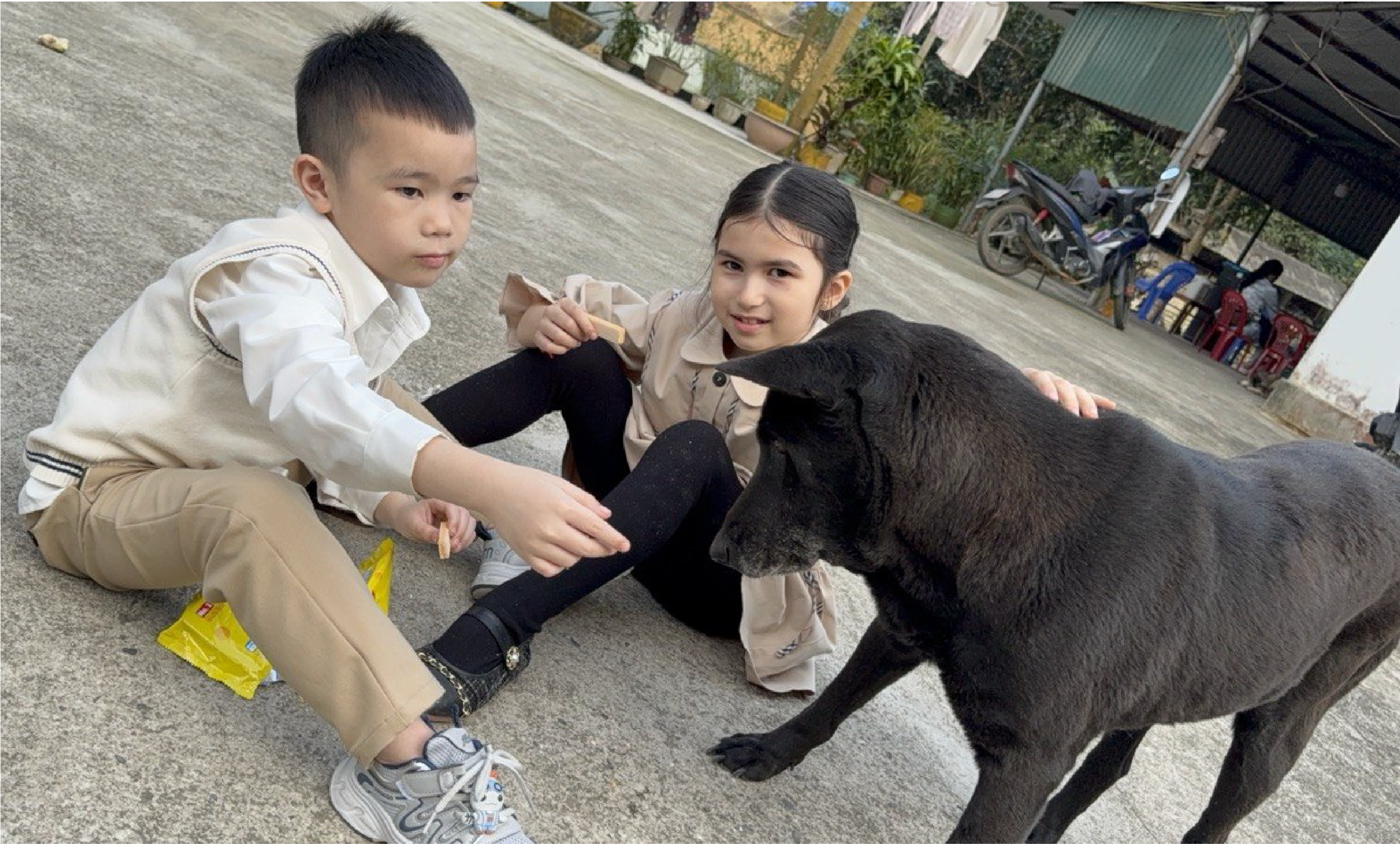 Blacky and the children